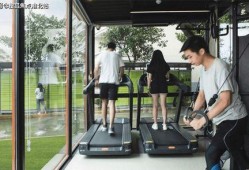 成都房姐最新爆料事件,揭秘豪宅背后的惊人真相