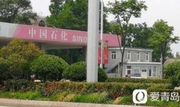 重庆王先生爆料最新,揭秘某神秘事件背后真相